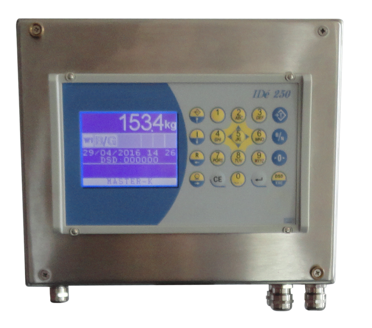 indicateur de pesage Inox industriel