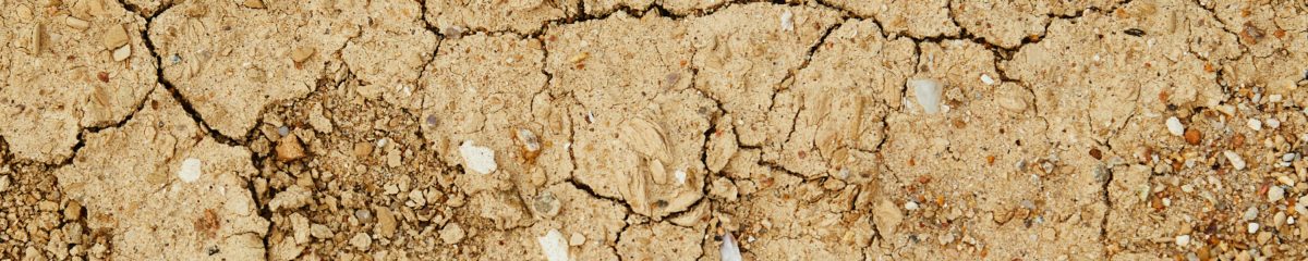 terre-arpegemasterk terre-arpegemasterk